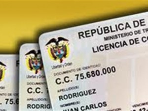 licencia-de-conduccion
